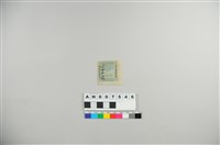 藏品(大清臺灣郵政局龍馬票第三次：制錢貳拾文)的圖片